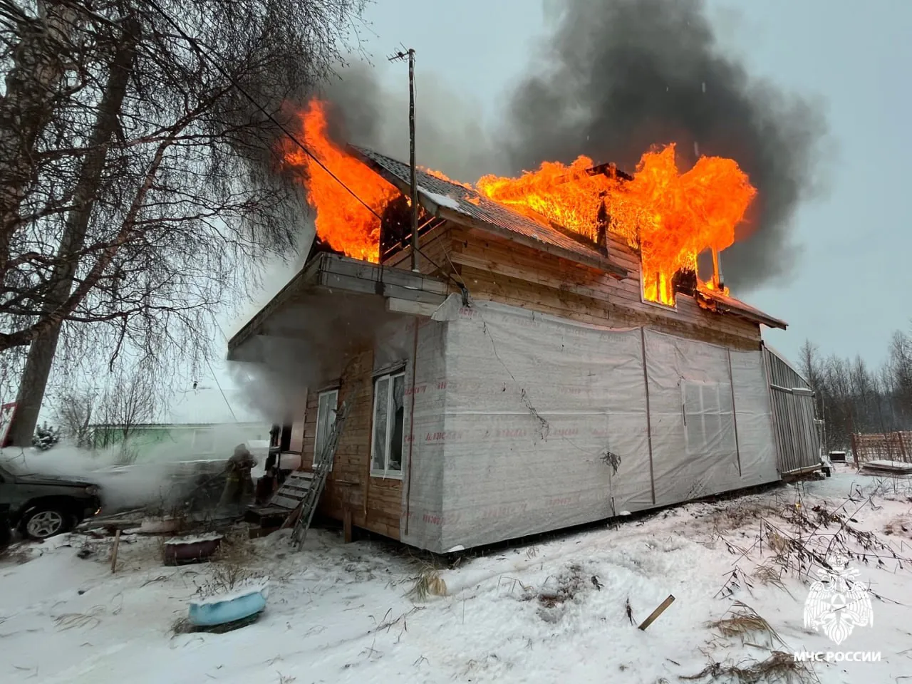 Хозяин спас свою собаку из горящего дома в Вологодской области