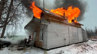 Хозяин спас свою собаку из горящего дома в Вологодской области