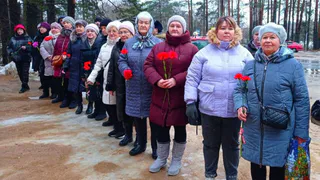 Волонтеры Вологодской области вносят вклад в празднование 80-летия Великой Победы