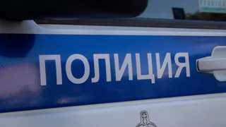 В Вологодской области задержан подозреваемый в стрельбе из ружья во дворе дома