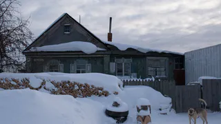 Переехали жить в деревню и только через год поняли, почему в деревнях больше не живут хозяйством – причина все время была на виду