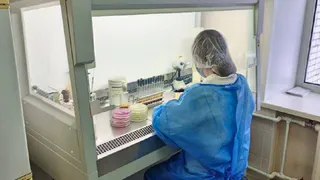 Вологодские ветеринары предотвратили попадание на рынок более 830 тонн некачественной продукции