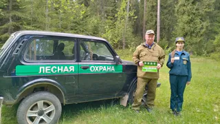 Вологодские леса под защитой: 6 500 рейдов за полгода снизили незаконные рубки на треть