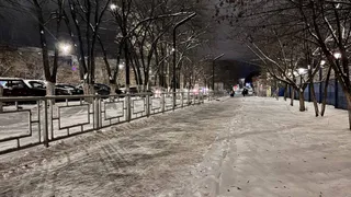 Бизнес и управляющие компании подключились к уборке Вологды от снега