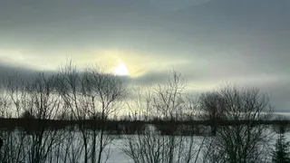 В Вологодской области выросла численность рыси и зайца-беляка