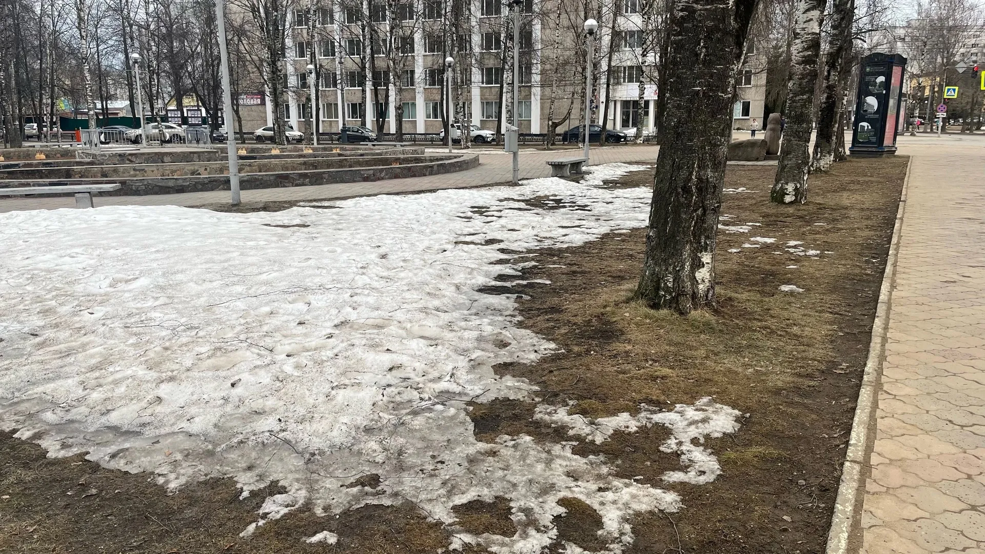 Какой будет погода в Вологодской области 11 апреля