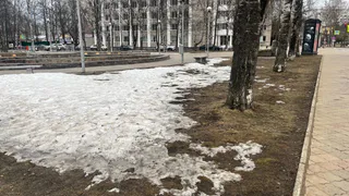 Какой будет погода в Вологодской области 11 апреля