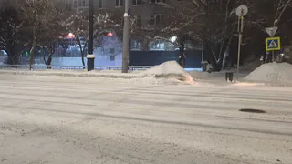 В Вологде водитель сбил ребенка на "зебре" и скрылся
