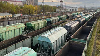 Вологодские производители увеличили поставки агропродукции в 29 стран