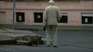 Прибавка за стаж. Сколько доплатят пенсионерам после 20 лет работы