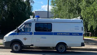 Житель Вологодской области выращивал наркотические растения прямо у себя в квартире 
