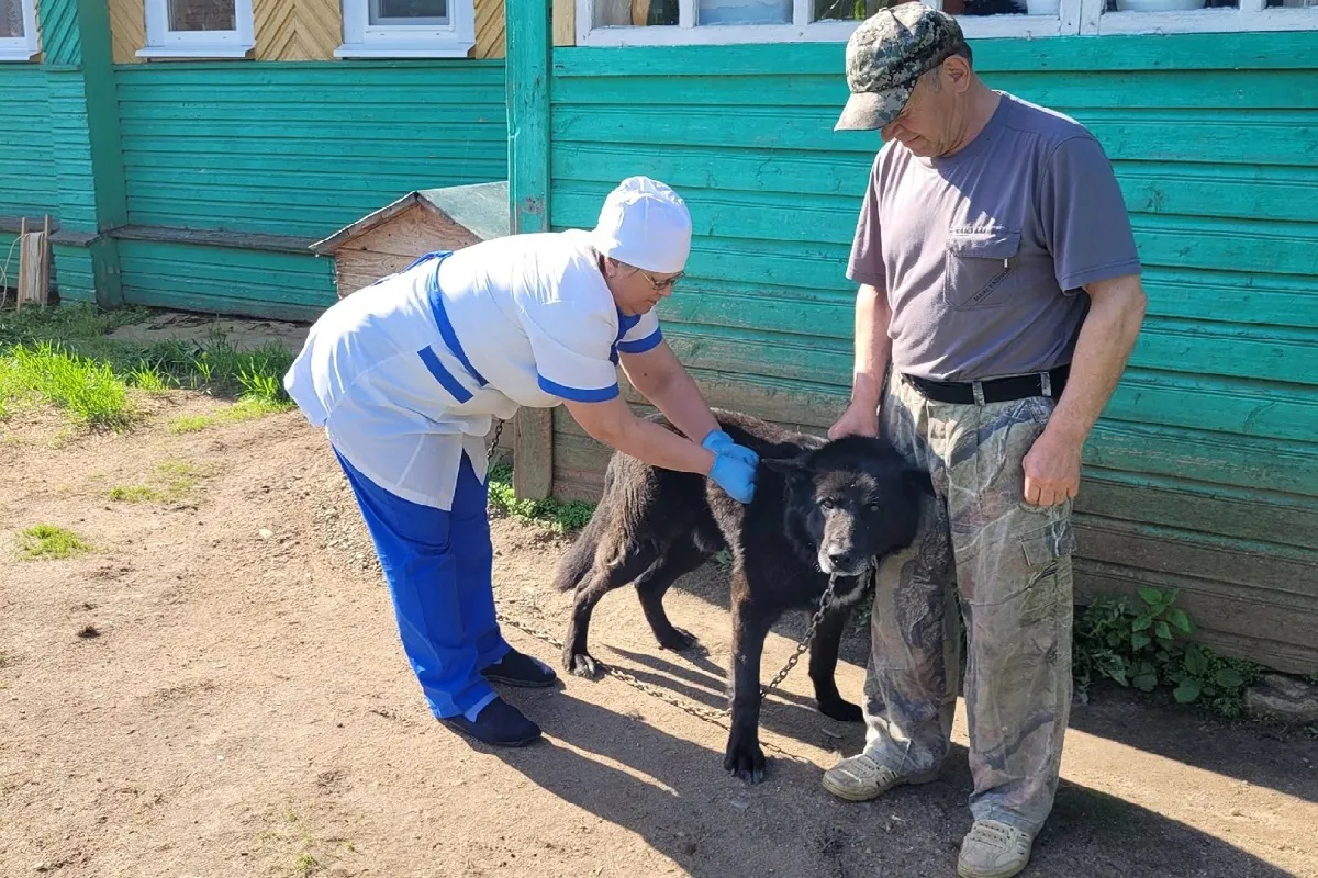 Ветеринарная служба Вологодской области в этом году получила значительное бюджетное финансирование в размере 187,2 миллиона рублей