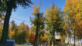Синоптики ошарашили своим новым прогнозом: Россию ждет аномальный сентябрь