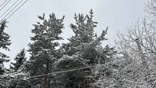 Прогноз погоды в Вологодской области на 10 марта