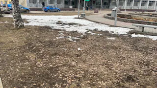 Прогноз погоды на лето: холодный май и жаркий август