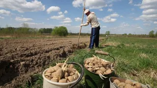 Полный запрет уже с 17 июня: неприятный сюрприз застанет врасплох дачников и садоводов