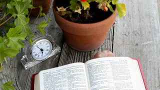 2 ложки в воду — и герань не остановить: цветет нон-стопом целый год, бутоны лезут один за другим