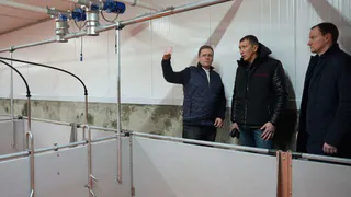 Новый свинокомплекс в Вологодской области повысит самообеспеченность мясом и обеспечит рост производства