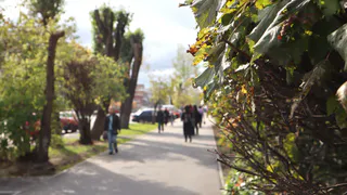 Погода в Вологодской области 14 сентября принесет потепление до +18°C