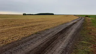 На Вологодчине изымают сельхозземли у недобросовестных владельцев