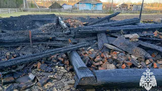 В Вологодской области при пожаре в частном доме погибли мать и сын