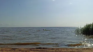 "Еле ноги унесли от этого гостеприимства": россиянин оставил правдивый отзыв об отдыхе в Абхазии