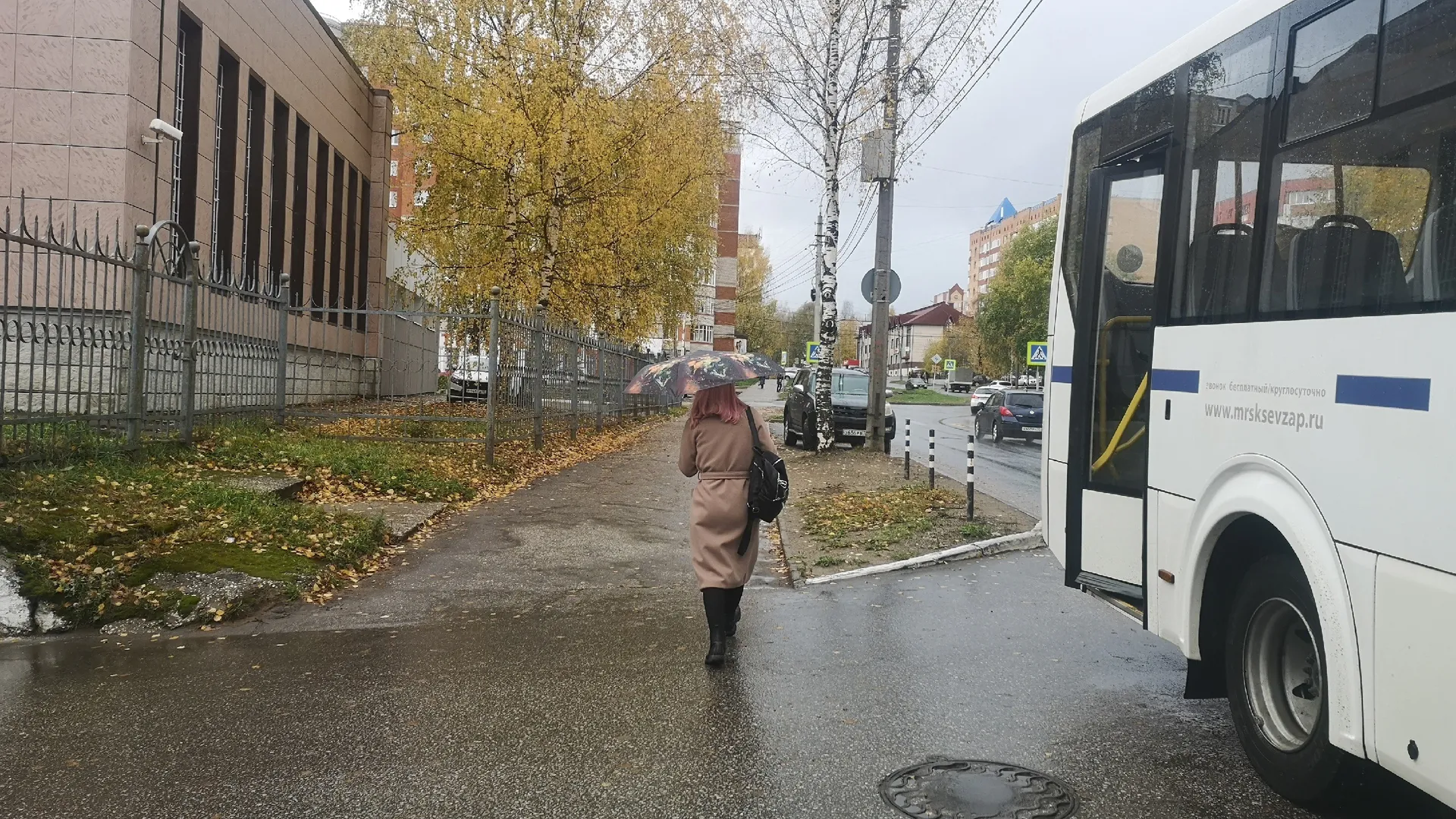 Вологодчину на этих выходных ждут дожди и заморозки