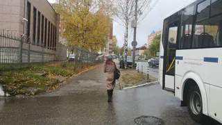На Вологодчину пришла непредсказуемая погода 