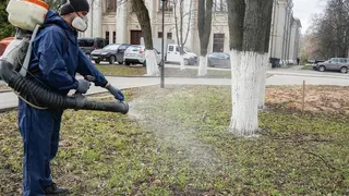 В Вологде стартовала масштабная дезинсекция более 160 территорий от клещей до конца сентября