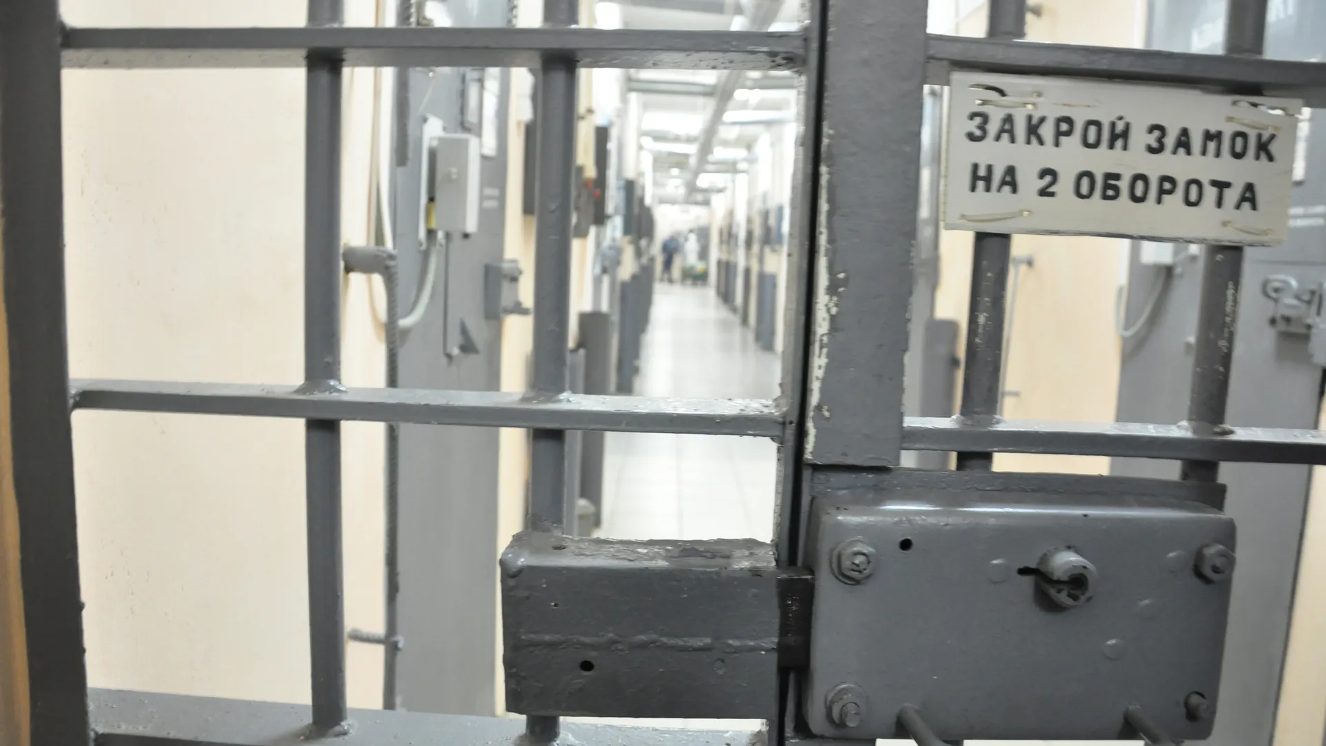 Жительница Вологодской области отправлена под стражу по подозрению в убийстве соседки