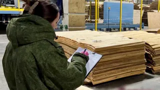 Завершено расследование убийства на деревообрабатывающем предприятии в Вологодской области