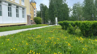 Настоящая летняя жара накроет жителей Вологодской области 26 мая