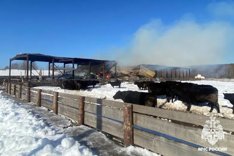В Вологодской области из-за сварочных работ сгорело 150 тонн сена