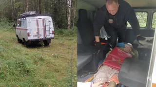 Пенсионерку с подозрением на инсульт спасли в вологодских лесах грибники