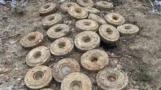 Под Вологдой нашли три десятка мин
