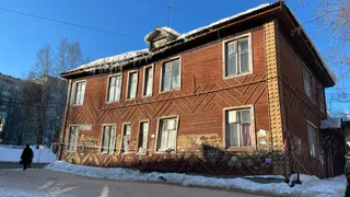 Когда сажать помидоры и картошку: рекомендации