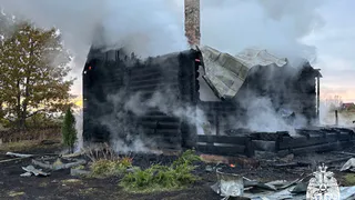 Житель Вологодской области спасся при пожаре на даче из-за неисправного дымохода