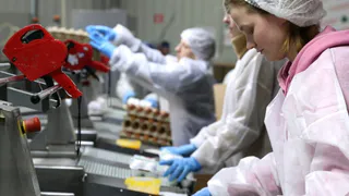 В Вологодской области в 2025 году ожидают рост производства молока и яиц