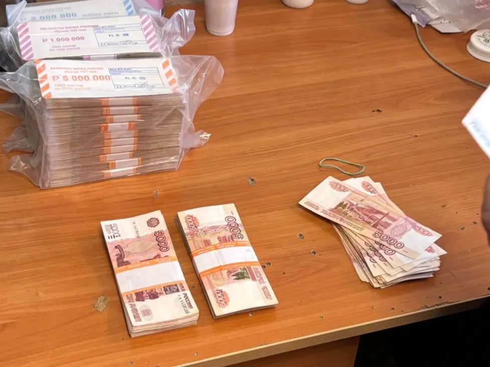 В Вологодской области полиция поймала курьера мошенников с 9 миллионами рублей пенсионера