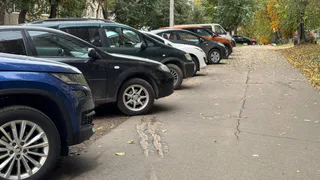 Вот как сильно обвалился автомобильный рынок после 1 ноября - водители побежали в салоны