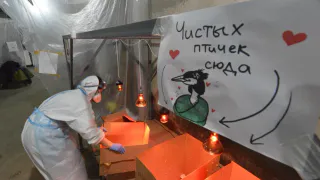 ВТБ направит 25 млн рублей на устранение последствий разлива мазута в Керченском проливе