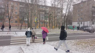 Вологодская область готовится к непогоде: ожидаются обильные осадки и порывистый ветер