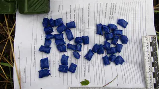 В Вологодской области задержали наркокурьеров с крупной партией запрещённых веществ
