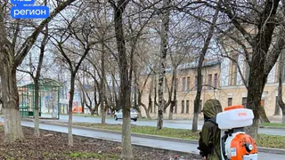 Вологда начинает ежегодную обработку зелёных зон от клещей