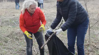 Общегородской субботник пройдёт в Вологде в эту субботу