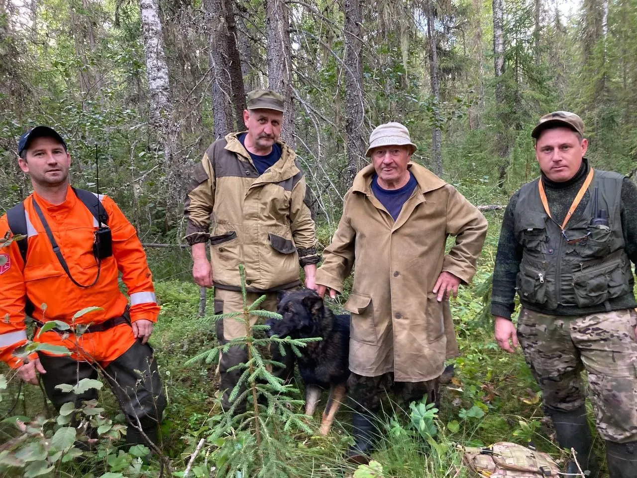 В Вологодской области кинолог с собакой обнаружил пенсионера, заблудившегося в лесу