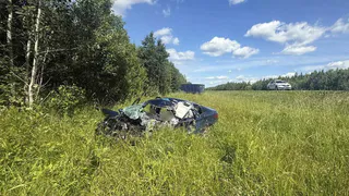 Два человека погибли в ДТП на трассе М8 в Вологодской области
