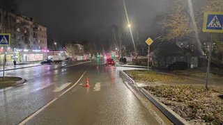 В Вологде легковой автомобиль сбил женщину с собакой на поводке
