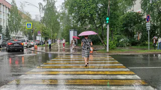 Верховный Суд постановил: обязан ли водитель ждать, пока пешеход полностью перейдёт дорогу, или можно ехать сразу