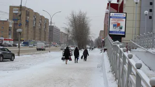 Снег нагрянет внезапно и рано: синоптики назвали точную дату начала настоящей зимы